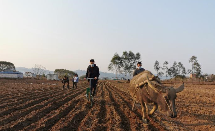2月17日疫情动态:多省新增确诊为零,各地抗疫举措汇总