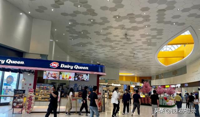 2026年高速服务区大变身!充电桩成新宠,还成旅游休闲地