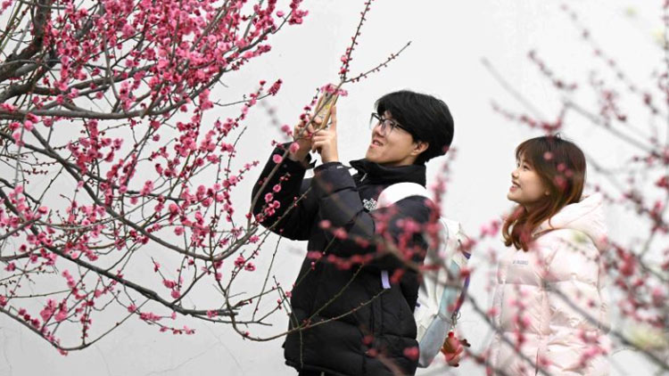 警惕!高考诈骗套路多,收到高考作弊短信别轻信