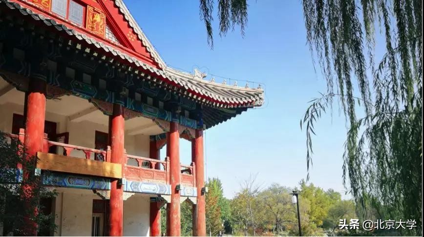 燕园图书馆知多少?北大图书馆总馆及各分馆全介绍