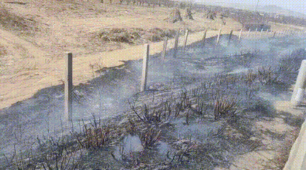 春耕烧荒危害大,高速行车隐患多,这些风险要知道