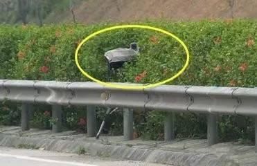 汽车保有量增大,违章摄像头增多!各类摄像头功能大揭秘