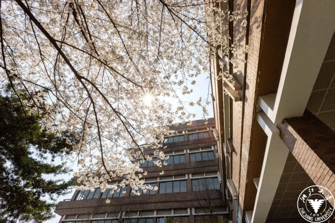 开学季!那些年,我们在大学宿舍经历的奇妙群居生活